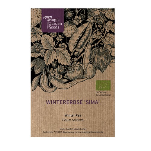 Wintererbse sima pisum - wintererbse, (pisum
