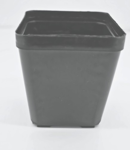 Sima vierkant containertöpfe - sima, vierkant-containertöpfe