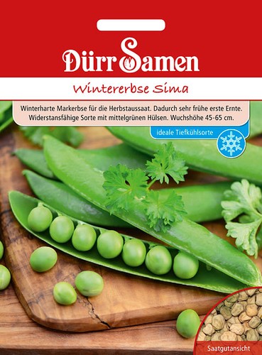 Wintererbsen sima - wintererbsen,