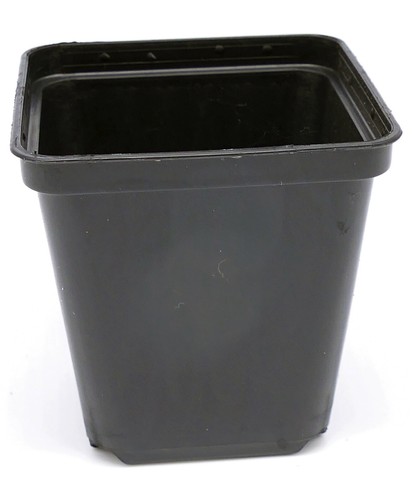 Sima vierkant containertöpfe - sima, vierkant-containertöpfe