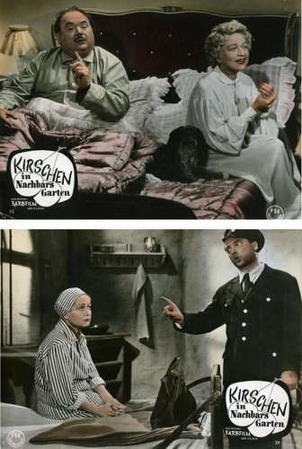 Aushangfotos kirschen in - aushangfotos, "kirschen